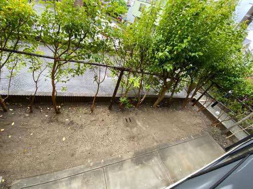 カサヴェルデ天拝 A0101号-14