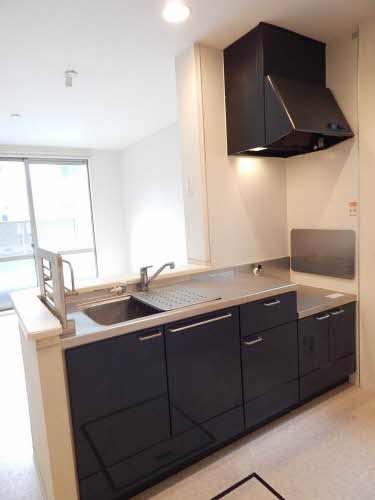 ディンプル　ヒルズ　壱番館　＊＊ A0101号-3