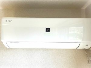 ｆ・ｆｒａｎｃｊｏｕｒ　＊＊ A0102号-9