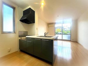 フランファス * A0101号-3