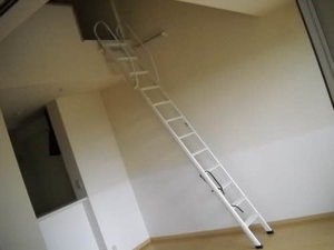 フェリーチェ　＊＊ A0203号-5