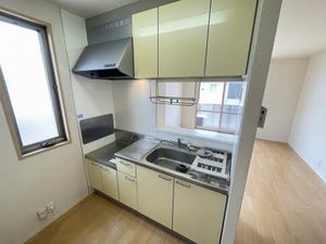 メゾンアンリシール A棟 A0201号-3