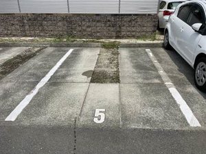 メゾンアンリシール A棟 A0201号-14