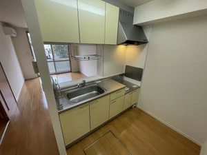 メゾンアンリシール　Ｃ棟 C0102号-3