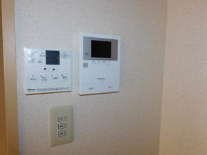 アリッサム * A0102号-9