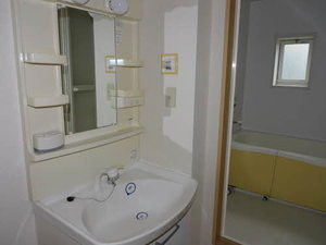 アリッサム * A0102号-14