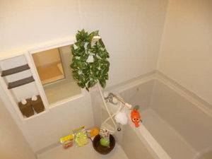 サンフラワー武蔵野台 B棟 ** B0202号-7