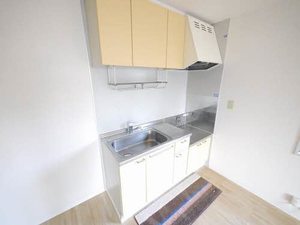 サンフラワー武蔵野台 I棟 * I0102号-3