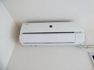 サンシャイン　＊＊ A0202号-12