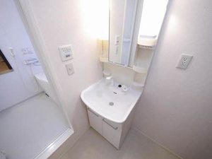 プラリュー　１＊ A0203号-5