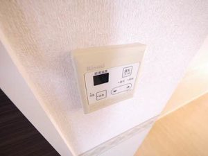 プラリュー　１＊ A0203号-11