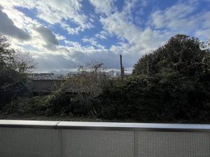 グリーン8 ** A0102号-14