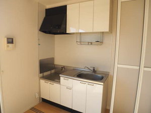 ディアスＳＡＷＡＤＡ　Ⅱ　＊＊ A0202号-6