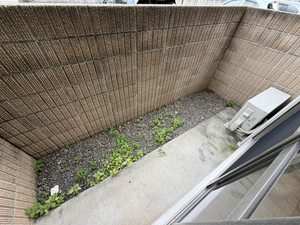 モンポエーム Ⅱ棟 ** B0103号-14