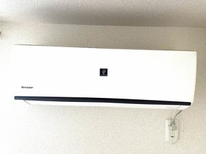 ドゥーメゾン A0103号-9