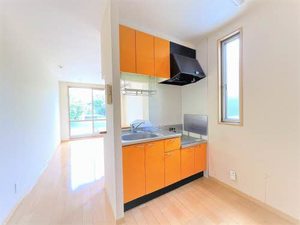 ドゥーメゾン　＊＊ A0105号-3