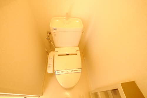 ウェルシー　Ⅱ棟　＊＊ B0102号-10