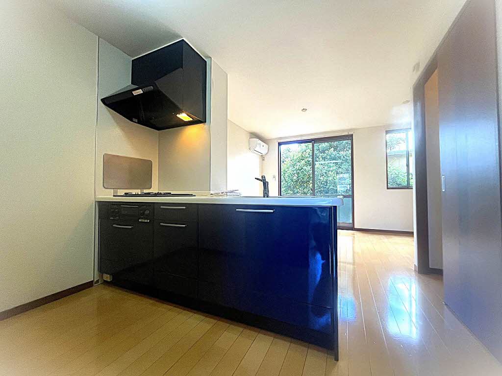 ｆ・ｆｒａｎｃｊｏｕｒ　＊＊ A0102号-3