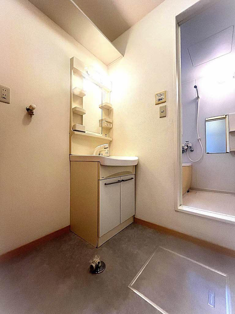 フランファス * A0101号-5