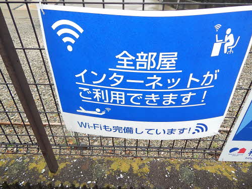 アリッサム * A0102号-3