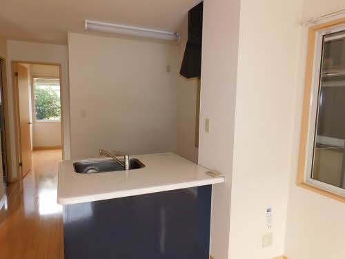 アリッサム * A0102号-6