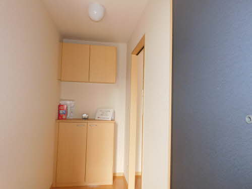 アリッサム * A0102号-12