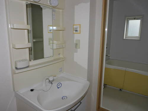 アリッサム * A0102号-14