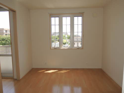 コーラルリーフ　＊＊ A0204号-11