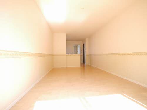 プラリュー　１＊ A0203号-2