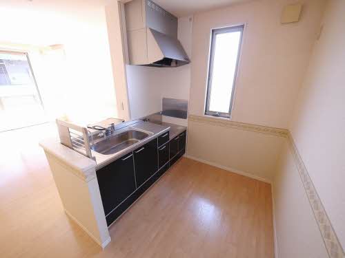 プラリュー　１＊ A0203号-3