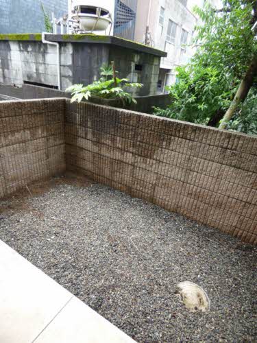 メイプルハイツ　＊＊ A0101号-14