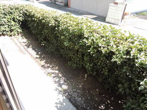 エスポワールKM A棟 * A0101号-15