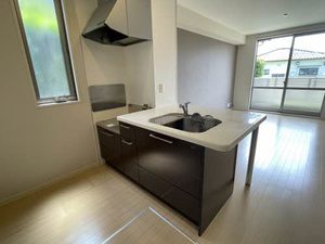 ラフィネイオス ** A0101号-3