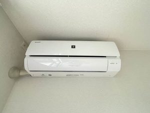 ラフィネイオス ** A0101号-8