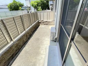 ラフィネイオス ** A0101号-15