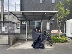 フェリーチェ三川　Ⅱ　＊＊ B0102号-12