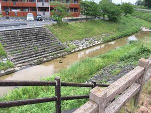 フォレスト２０　Ｂ棟　＊＊ B0202号-14