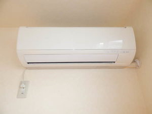 翠翠ガーデンⅡ * A0101号-9