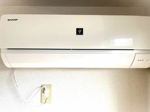 翠翠ガーデンⅡ * A0103号-9