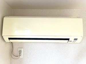 グリーン・ＰＡＬ　Ａ棟　＊ A0101号-9