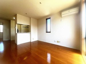 ディアスＨ＆Ｋ　＊ A0201号-2