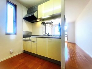 ディアスＨ＆Ｋ　＊ A0201号-3