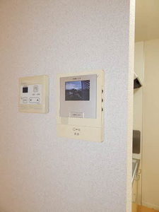 ディアス花　＊＊ A0101号-11