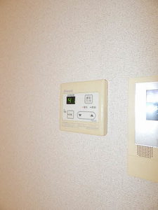 ディアス花　＊＊ A0101号-12