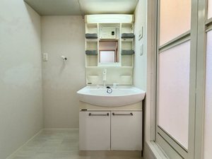 ディアス花 ** A0203号-6