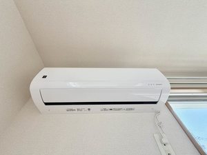 ディアス花 ** A0203号-9