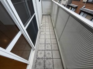ディアス花 ** A0203号-12