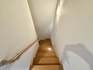 ディアス花 ** A0203号-13