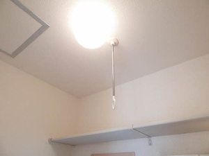 ストリーム ** A0101号-11