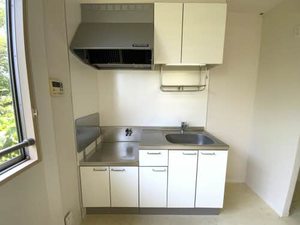 フェアリーウィング　＊ A0202号-3